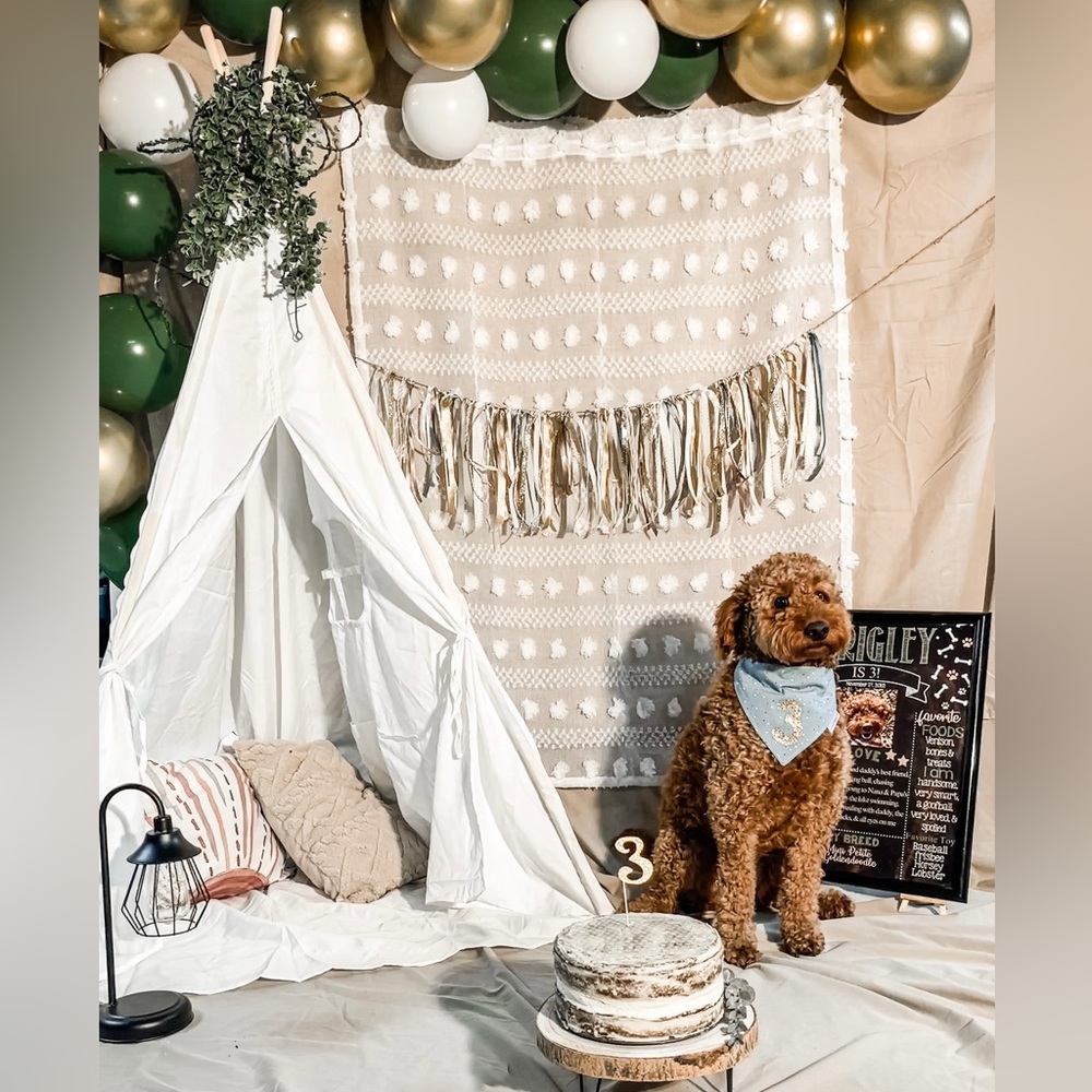 Birthday party decor